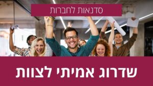 סדנה לחברה וארגון