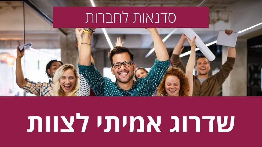 סדנה לחברה וארגון